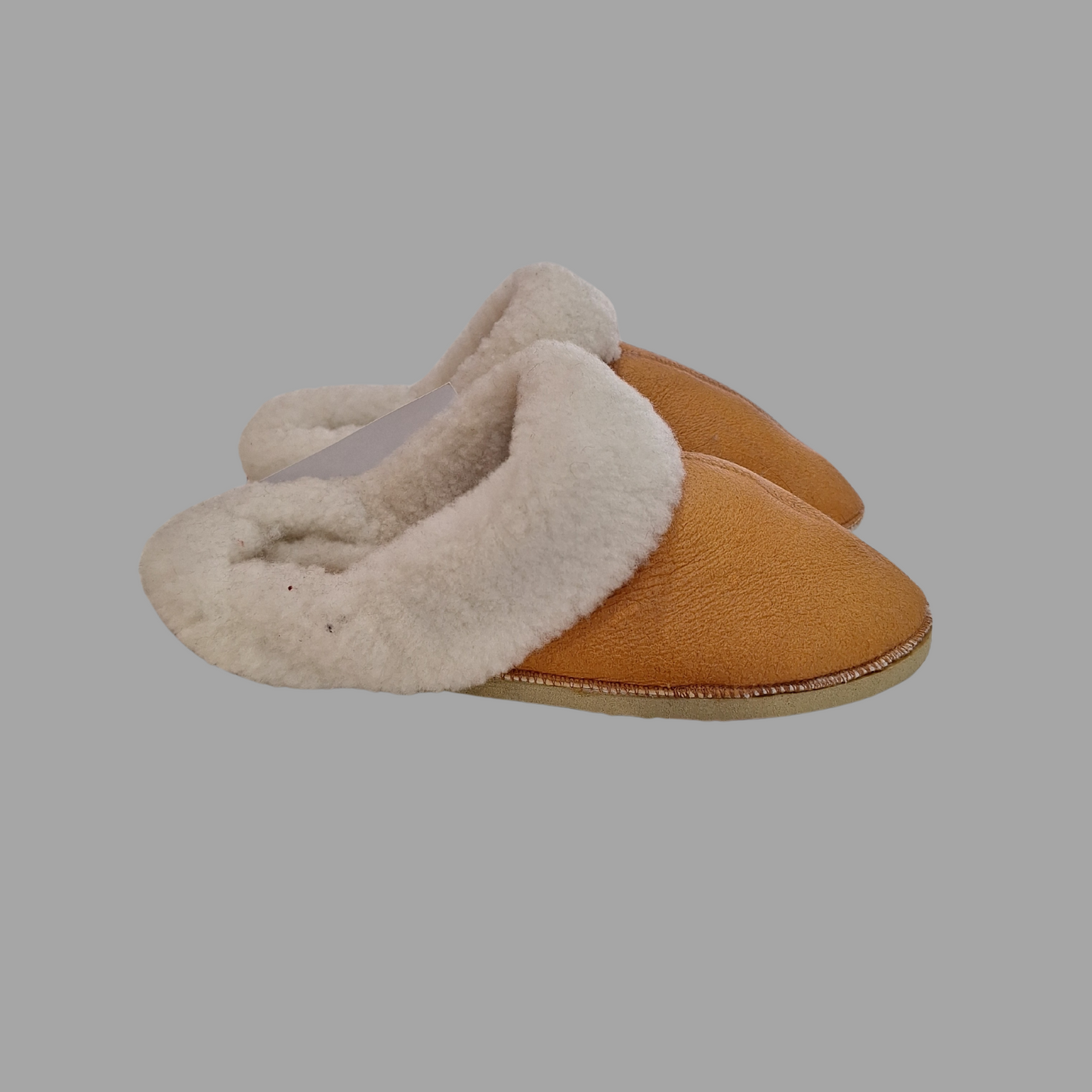 Pantu Winter