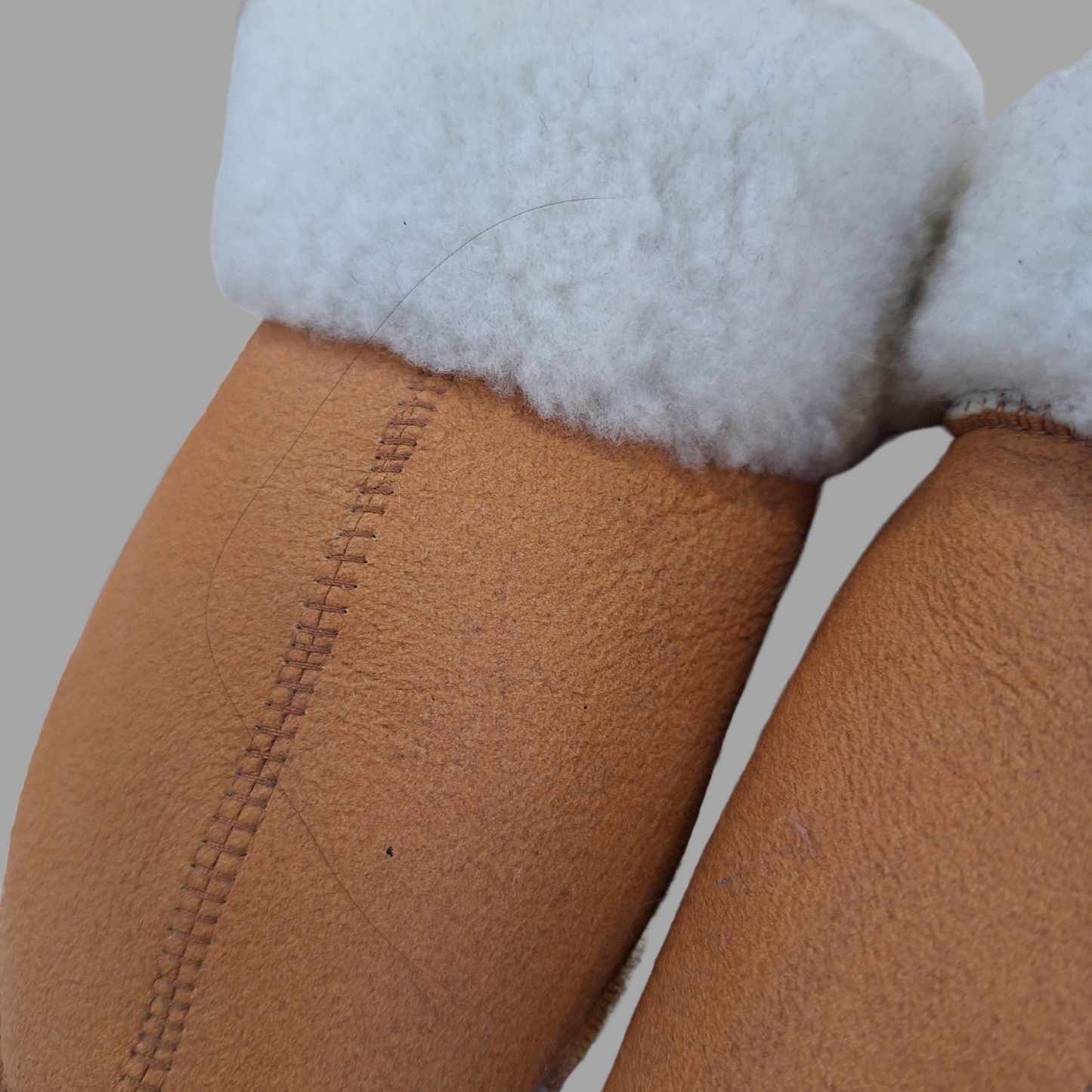 Pantu Winter
