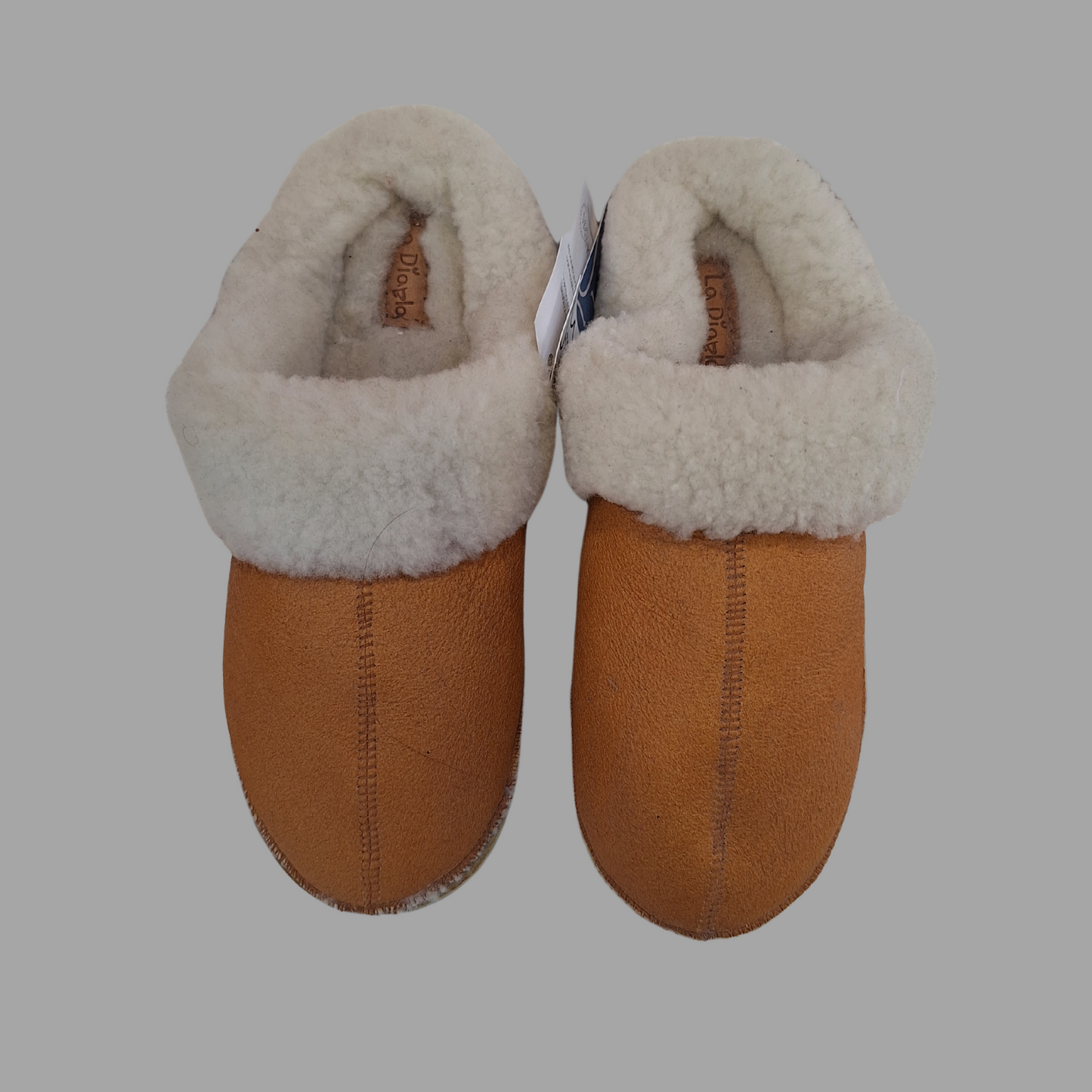 Pantu Winter