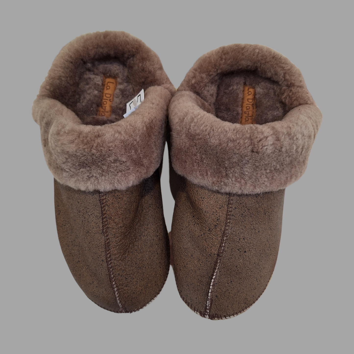 Pantu Winter