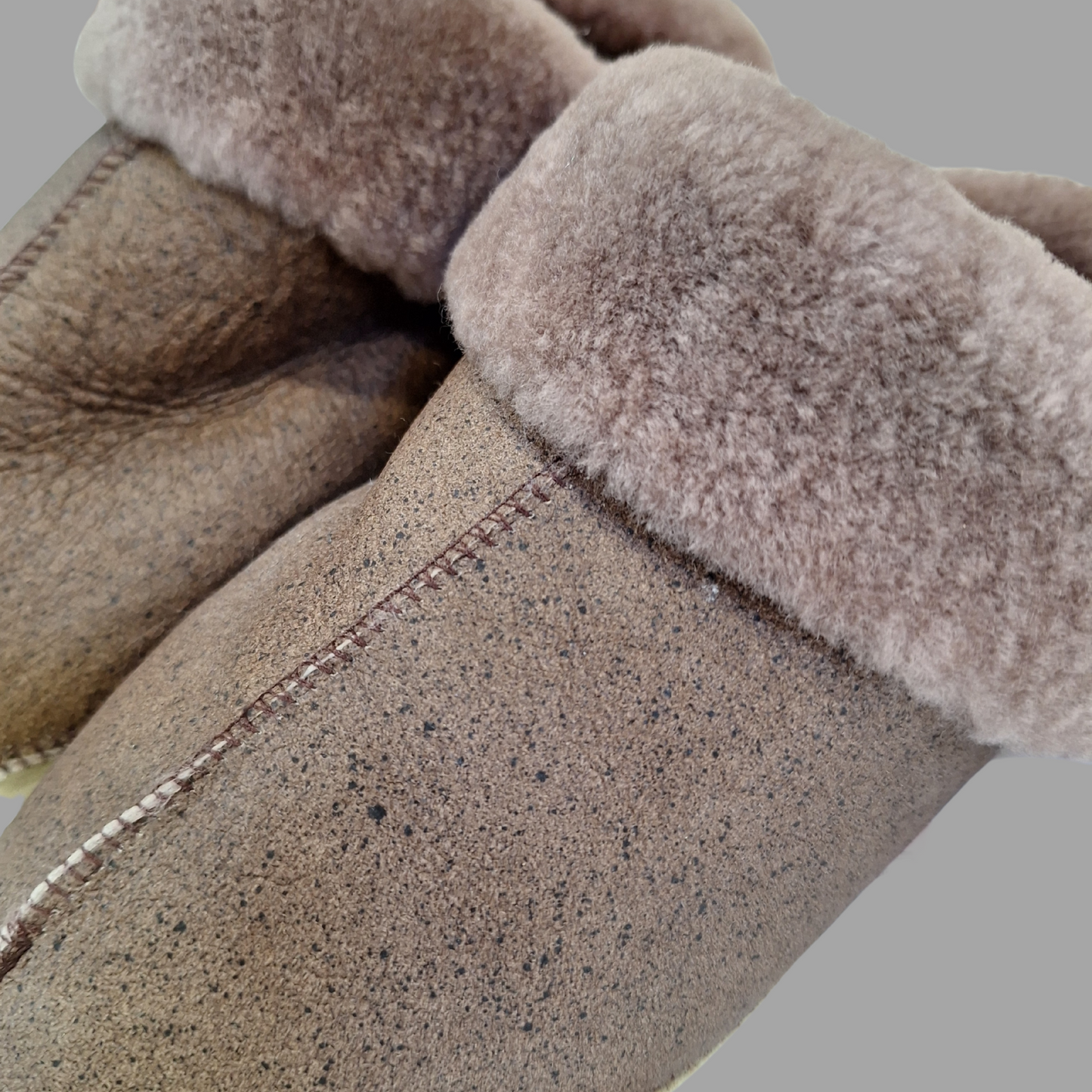 Pantu Winter