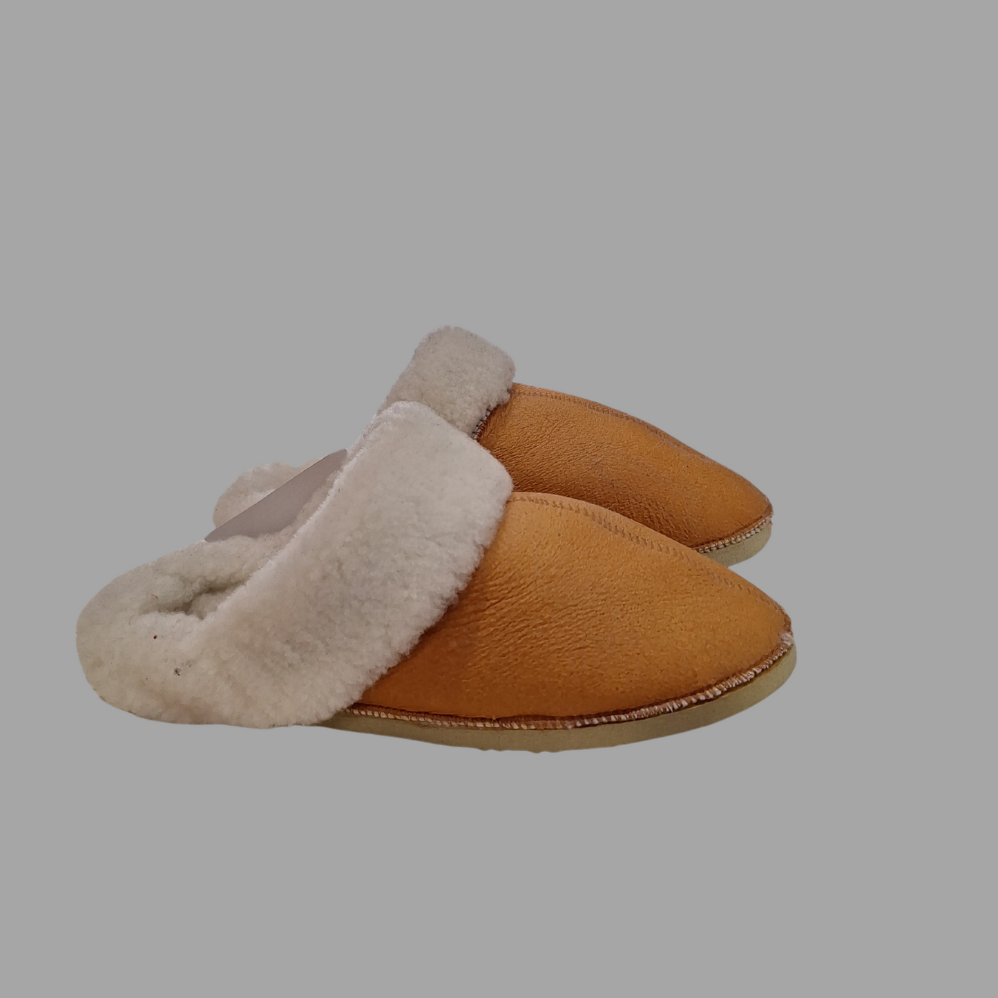 Pantu Winter