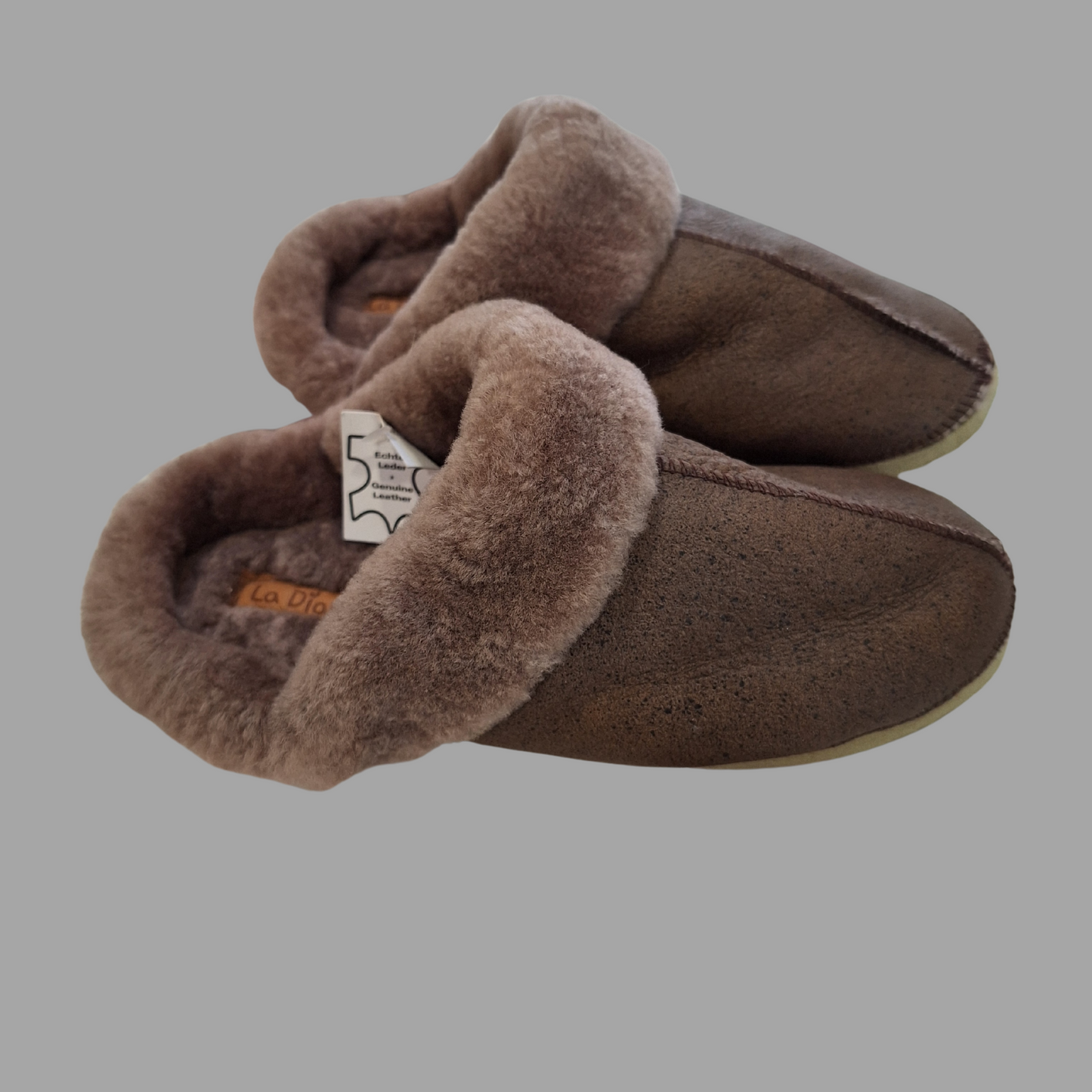 Pantu Winter